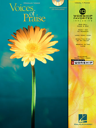 I Worship You, Almighty God