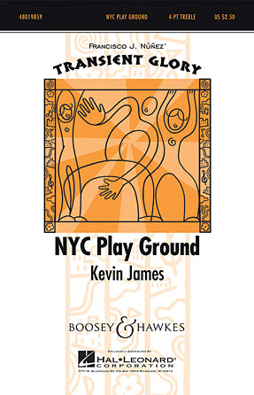NYC Play Ground