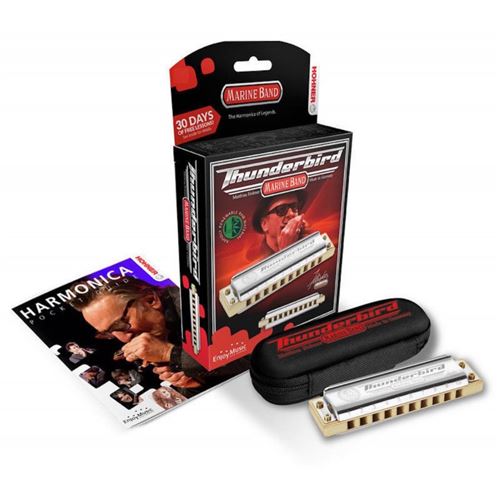 Hohner ThunderBird - Ré Grave - Harmonica Diatonique