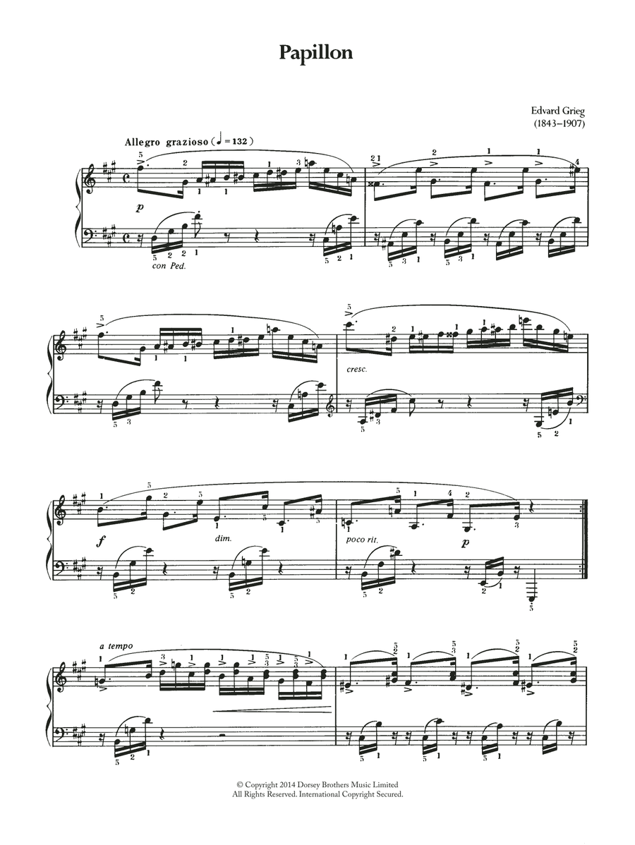 Papillon