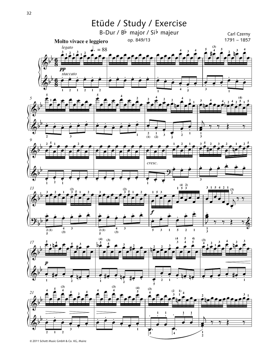 Study B major
