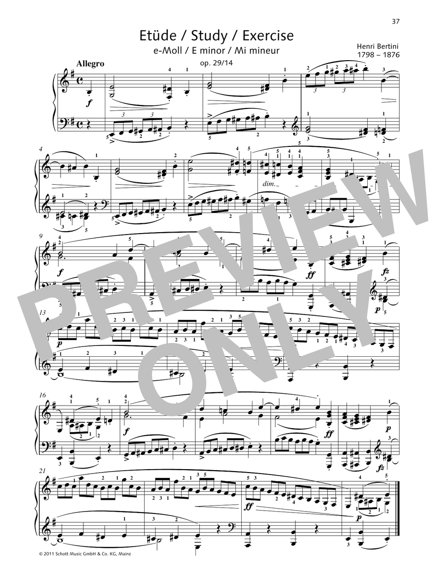 Study E minor