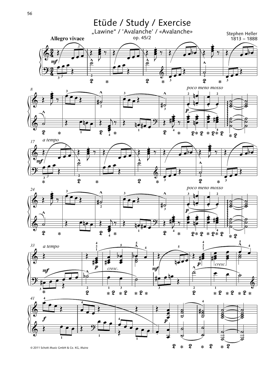 Study A minor