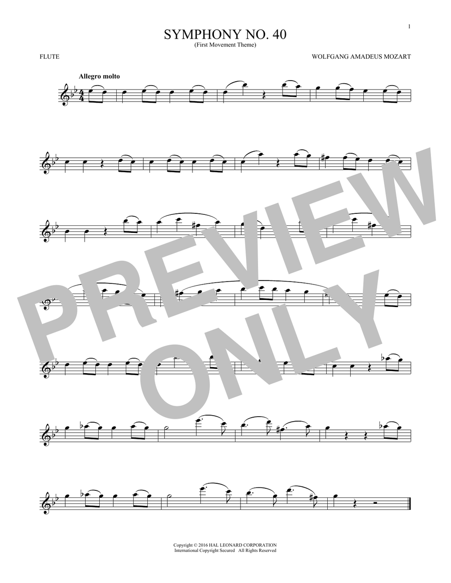 Symphony No. 40 In G Minor, First Movement Excerpt