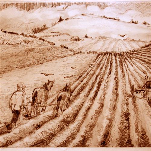 We Plough The Fields And Scatter